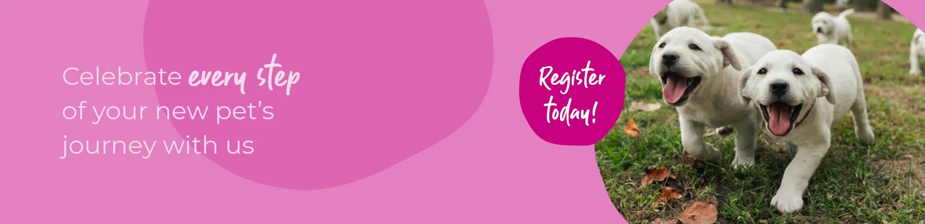 Welcoming your new puppy or kitten