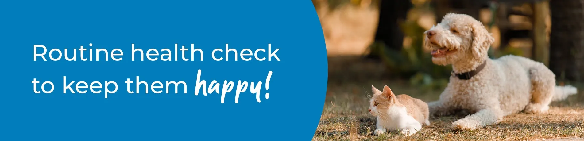 Pet Health Check in Leicester | Preventative Vet Care