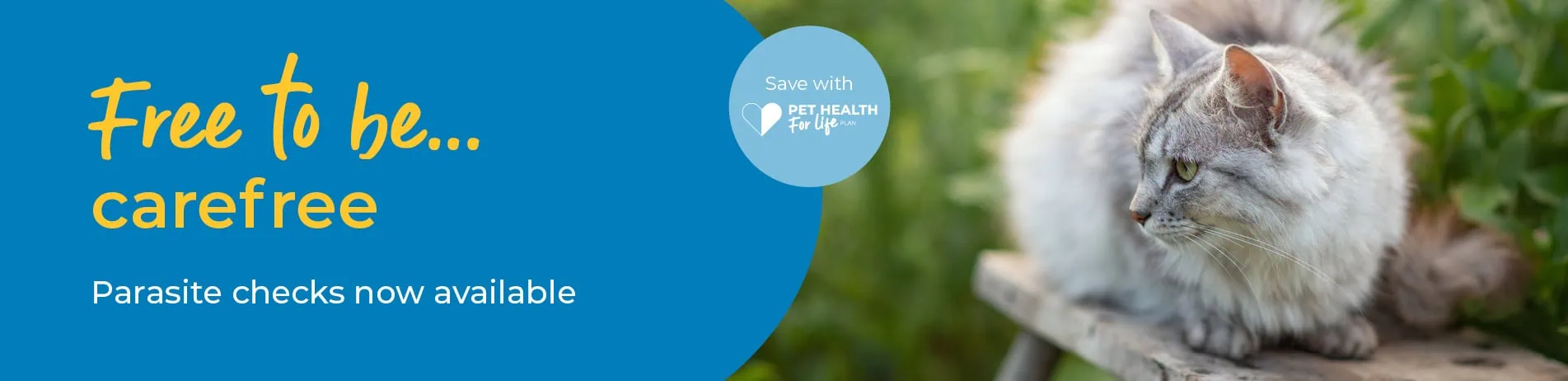 Tick, Flea, and Worm Prevention for Dogs