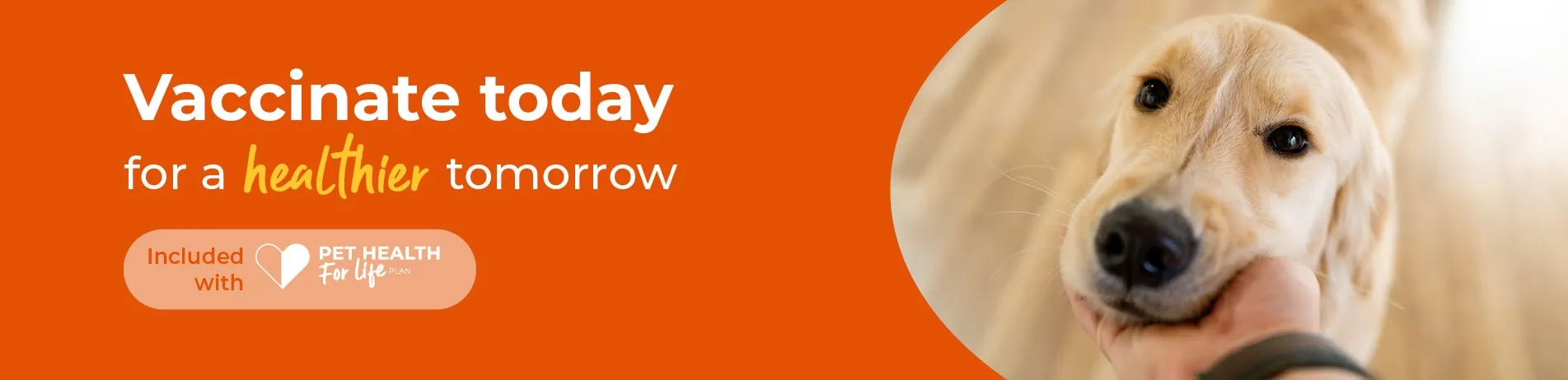 Pet Vaccinations in Leicester