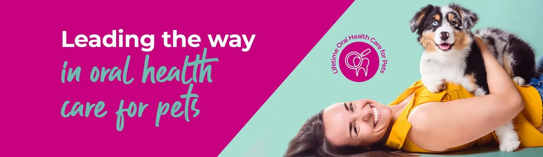 Vets in Leicester, pet vets & vet referrals